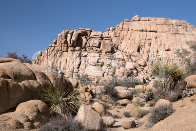 Joshua Tree National Park, Kalifornien, USA