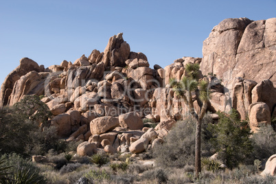 Joshua Tree National Park, Kalifornien, USA