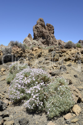 Roques de Garcia, Teneriffa