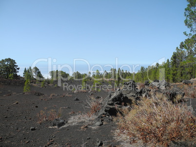 Am Volcan Garachico, Teneriffa