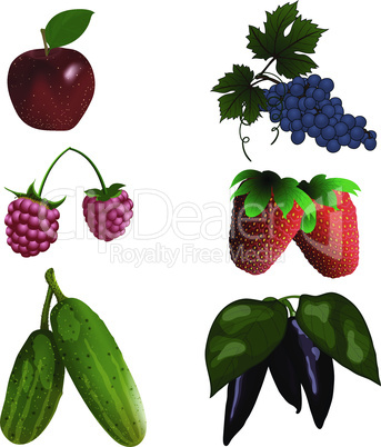 Set of color fruit and vegetables