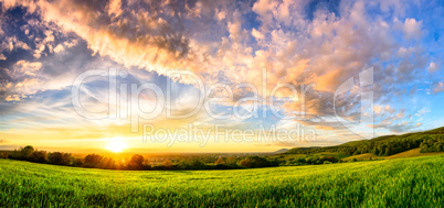 Panorama of a colourful sunset on a green meadow