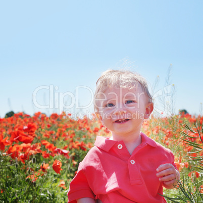 little baby boy posing on poppy fields