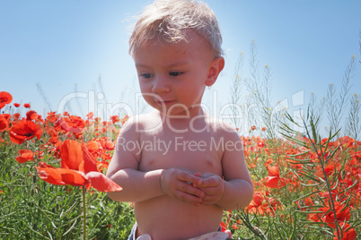 little baby boy posing on poppy fields