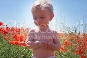 little baby boy posing on poppy fields