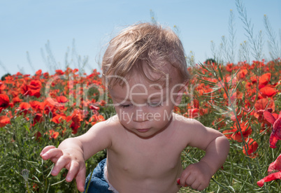 Cute White Baby Playing with Flowers at the Garden
