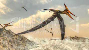 Pteranodon birds flying - 3D render