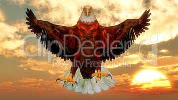 Eagle by sunset - 3D render