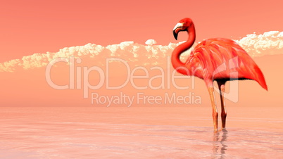 Pink flamingo - 3D render