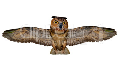 Eagle owl - 3D render