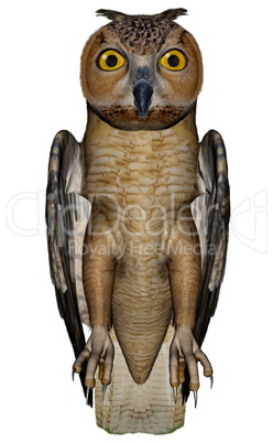 Eagle owl - 3D render