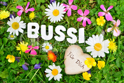 Bussi Buchstaben auf Blumenwiese