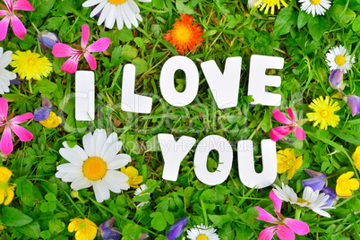 i love you Text