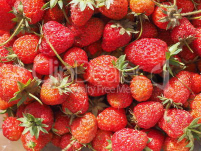 Strawberry fruit background