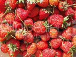 Strawberry fruit background