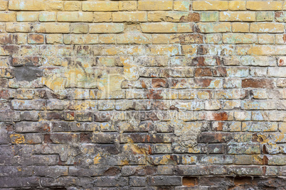 Colored Brick Wall