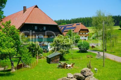 Bauernhöfe im Schwarzwald