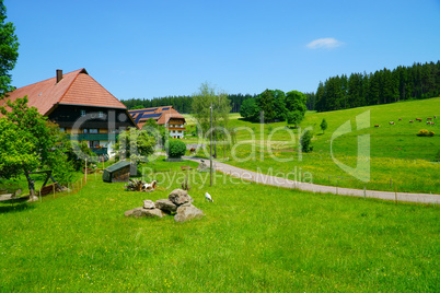 Landschaft im südlichen Schwarzwald mit Bauernhof