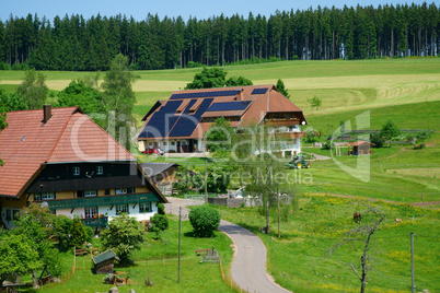 Landschaft im Sommer mit Bauernhöfen im Schwarzwald