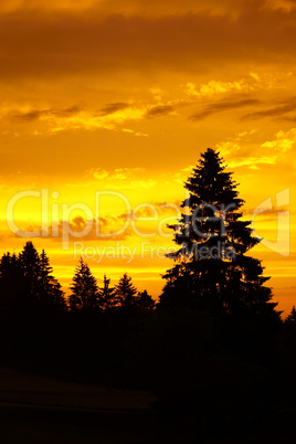 Goldener Himmel beim Sonnenuntergang im Schwarzwald