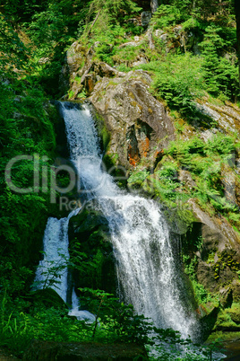 Der Wasserfall in Triberg im Schwarzwald - 9