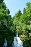 Der Wasserfall in Triberg im Schwarzwald - 12