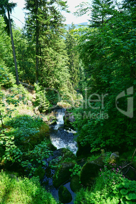 Der Wasserfall in Triberg im Schwarzwald - 13