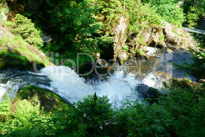Der Wasserfall in Triberg im Schwarzwald - 19