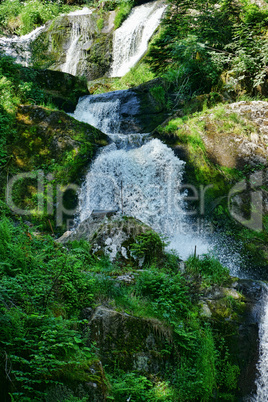 Der Wasserfall in Triberg im Schwarzwald - 22