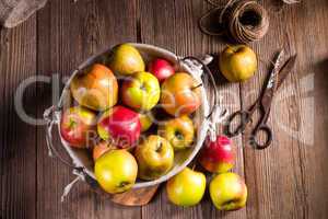 Fresh autumn apples in the basket