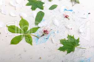 Abstract floral background in vintage style. leaves on old white background