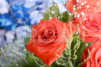 A close up macro shot of a red rose