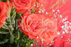 bouquet of blossoming dark red roses in vase, close up flower