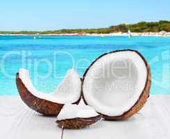 Coconut on seascape background