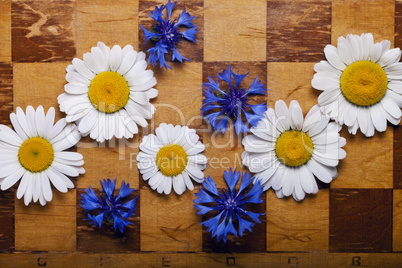 Abstract flowers chessboard