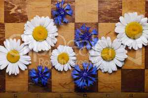 Abstract flowers chessboard