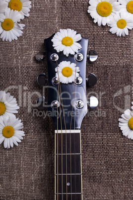 guitar and daisy flowers