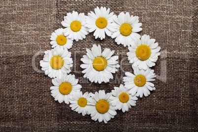 abstract daisy on brown textured fabric