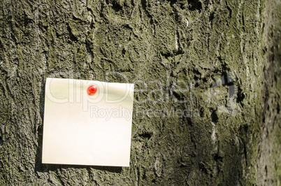 Sticky Note On Tree Background