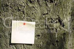 Sticky Note On Tree Background