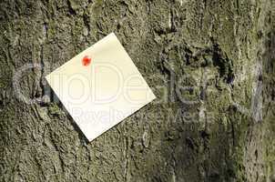 Sticky Note On Tree Background