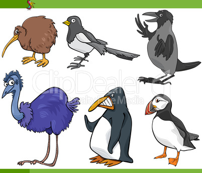 birds cartoon set illustration