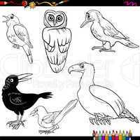 birds cartoon coloring page