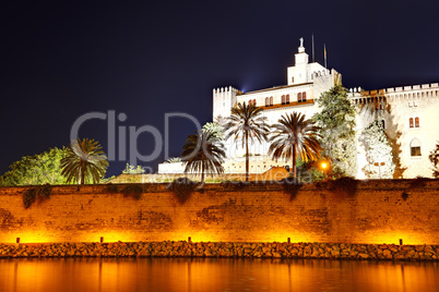 The night view on Cathedral of Santa Maria of Palma in Palma de