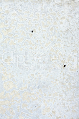 Grungy white concrete wall background