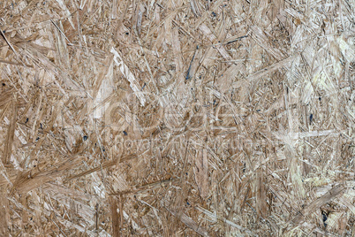 Wood Particle Board