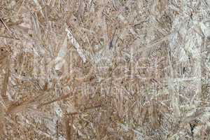 Wood Particle Board