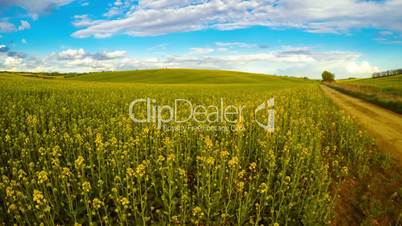 Clouds over the Rapeseed Fields. Time Lapse