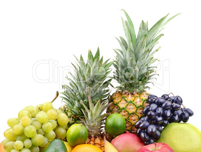 collection fruits