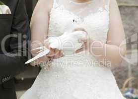 Braut mit Taube in der Hand